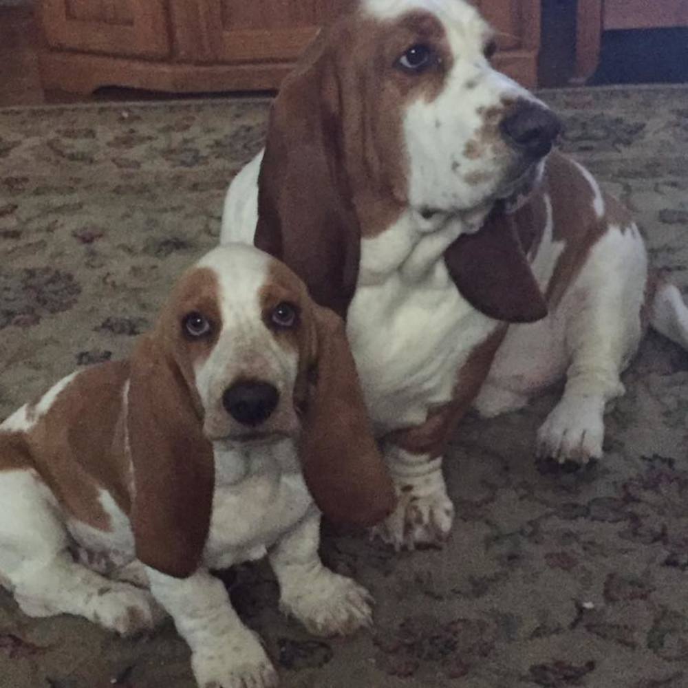 Meet your Posher, Gail